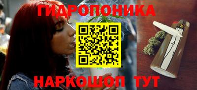 a pvp Малгобек