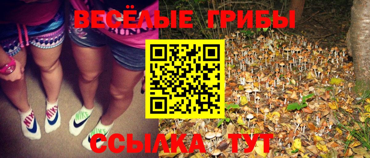 Псилоцибиновые грибы ЛСД  Вход с VPN  Тихвин 