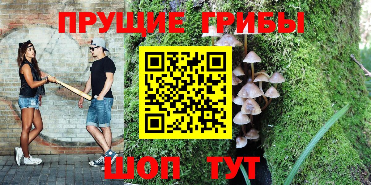 Псилоцибиновые грибы ЛСД Тихвин