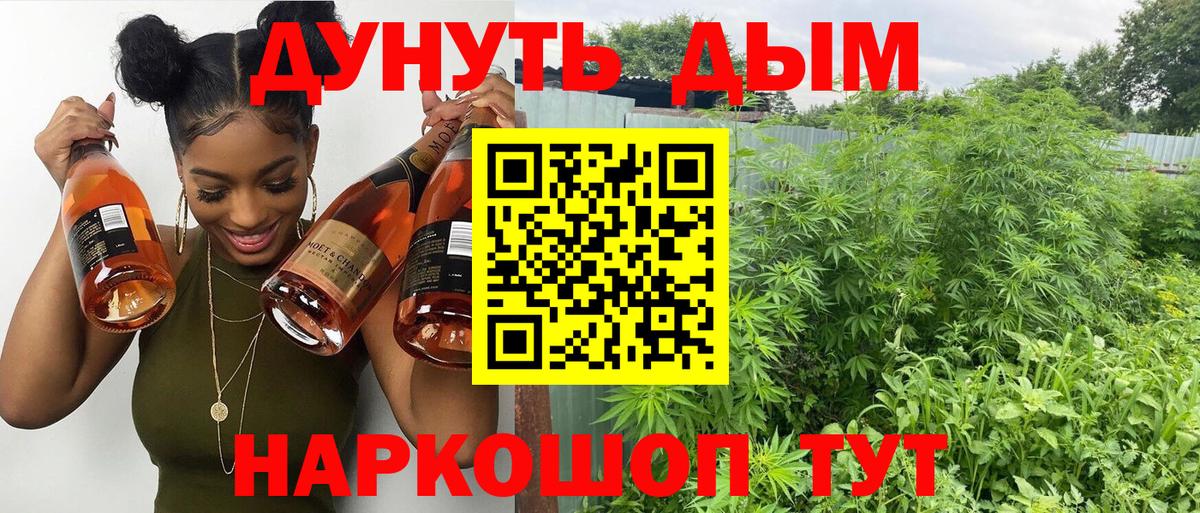 МАРИХУАНА планчик  Вход с VPN  Бошки марихуана Bruce Banner  Тихвин 